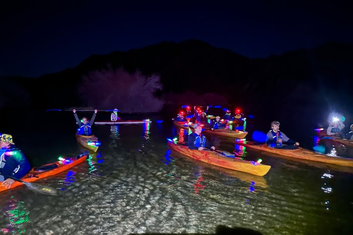 Group kayaks with colorful lights on a dark water body at night.