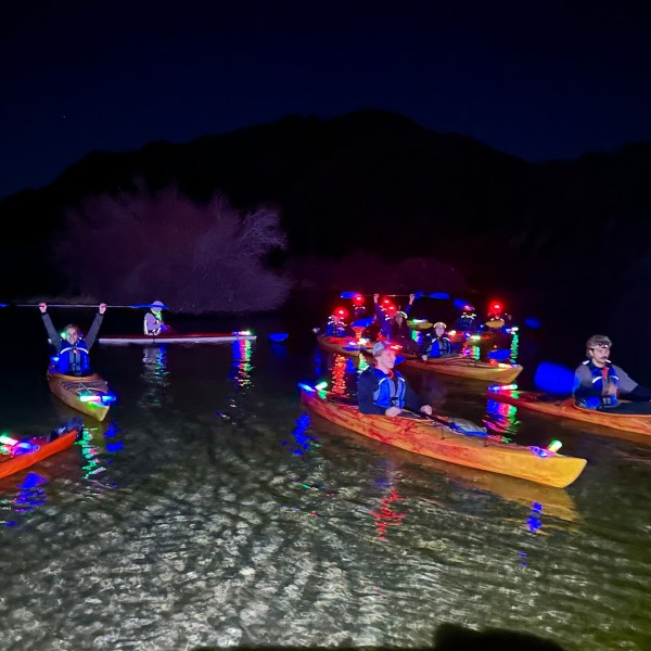 Kayakers with lights paddle at night on a calm river.